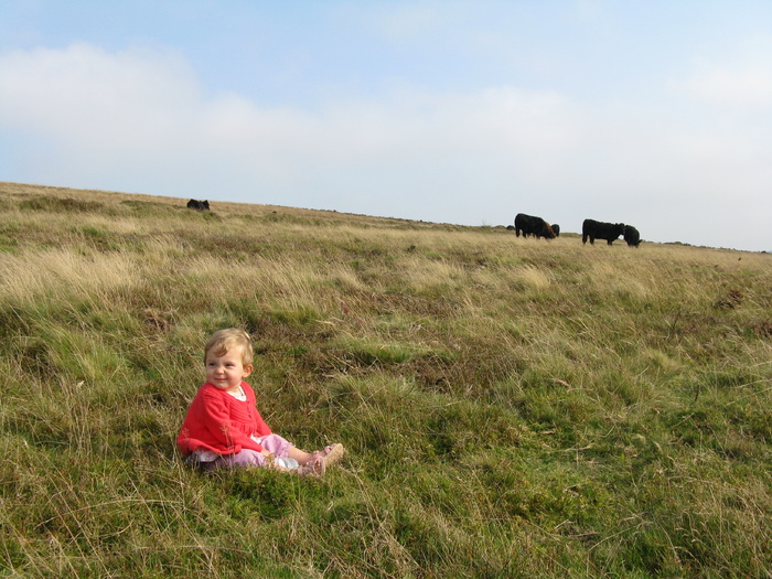 Dartmoor National Park