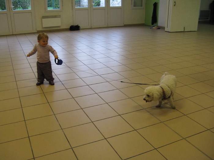 Je promène le chien