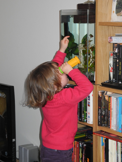 A la recherche des poissons