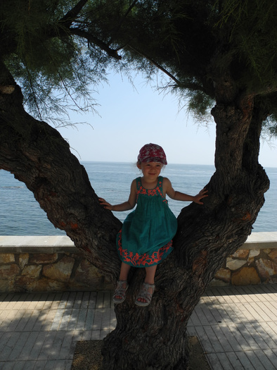 Sur un arbre perché