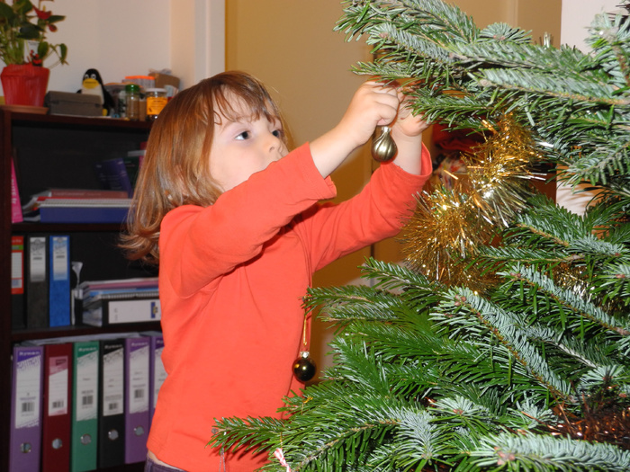 Décoration du sapin